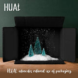 HUAL Premium Acrylic Paint Set With 5 Brushes, 24 Colors (60ml, 2oz), Non Toxic, Waterproof, Acrylic Paint Kit for Professional Artists Kids Students HUAL