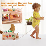 OESSUF Montessori Toys Toddlers Wooden Educational Toys for Baby Boys Girls, Shape Sorting & Matching Fine Motor Skills Toys, Birthday Gifts for Kids OESSUF