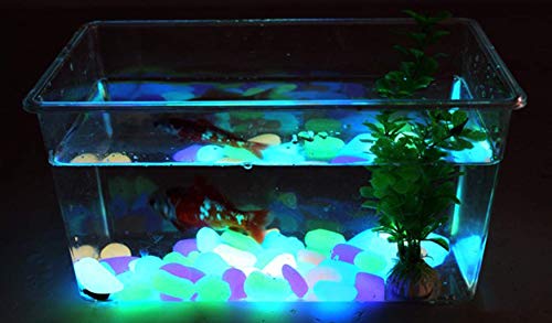 Glow in The Dark Rocks for Fish Tank, Aquarium, Plant Pot, Bonsai - Glow in The Dark Garden Pebbles for Walkways, Driveway, Landscape, Patio (100pcs) - WoodArtSupply