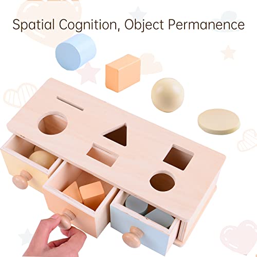 MORITECK Montessori 3 in 1 Object Permanence Box Coin Box Shape Sorter for 8 Months up Baby Wooden Toy for Boy Girls Christmas Birthday Gift MORITECK