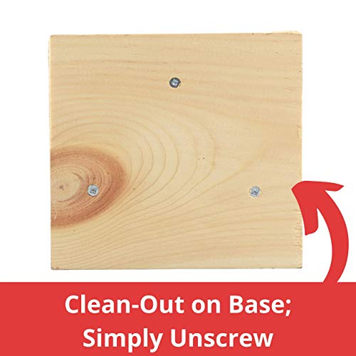 Unfinished Birdhouse to Paint for Birdwatching with Perch, Natural Wood Pine Frame for Finches and Songbirds, Heavy Duty Outdoor Hanging Use (6.5") ALPINE WOODS