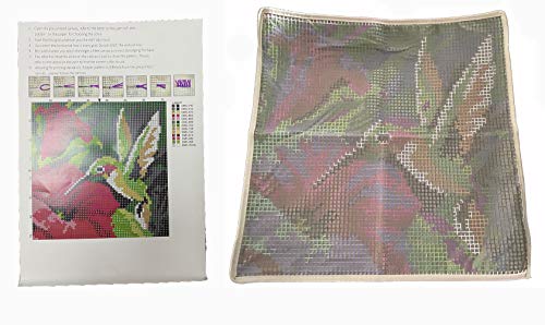 Colorful Hummingbird Latch Hook Craft Kit, 16'' X 16'' Tapestry Kits Latch Hook Rug Kits Carpet Embroidery Needlework DIY Rugs Hook Rug Hzikk