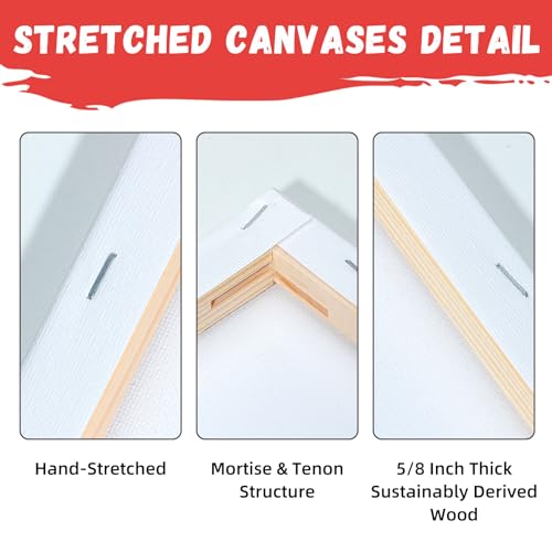 8x10 Inch Stretched Canvas, 10 Pack 100% Cotton Professional Blank Canvas, Canvases for Painting Using Acrylic Paint or Oil (Pre-Primed) - WoodArtSupply