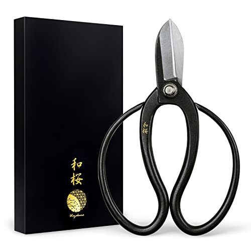 Wazakura Koryu Flower Arrangement Ikebana Scissors 6.5 in (165mm) Made in Japan, Floral Arrangement Hasami, Japanese Kado Tools - Yasugi Steel Koryu Wazakura
