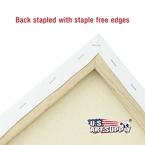 U.S. Art Supply Professional Quality Stretched Canvas, Multipack of 10 Medium Sizes, 2 Each 5x7, 8x10, 11x14, 12x16, 16x20 Inches - 12-Ounce Primed, U.S. Art Supply