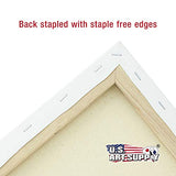 U.S. Art Supply Professional Quality Stretched Canvas, Multipack of 10 Medium Sizes, 2 Each 5x7, 8x10, 11x14, 12x16, 16x20 Inches - 12-Ounce Primed, U.S. Art Supply