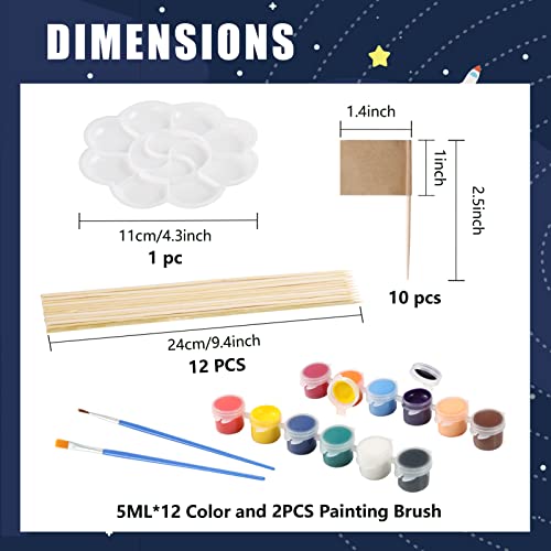 Pllieay 63PCS Solar System Foam Ball Kit Includes Color Pigments, Palette, Mixed Sized Polystyrene Spheres Balls, Toothpick Flag, Painting Brushes, Pllieay