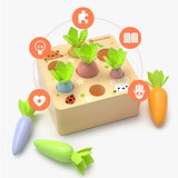 KMTJT Montessori Toys for 1 2 3 Year Old Toddlers, Macron Carrot Harvest Game Wooden Toys for Baby Boys and Girls, Educational Learning Shape Sorting KMTJT