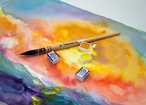 Viburnum Art Professional Watercolor Paint Set - 24 Half Pan Highly Pigmented Transparent Water Color Paints with #4 Synthetic Water color Brush, - WoodArtSupply