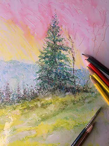 RoseArt Premium 24ct Soft Core Watercolor Pencils – Art Supplies for Drawing, Sketching, Adult Coloring in Design Storage Tin, multi (84402) RoseArt