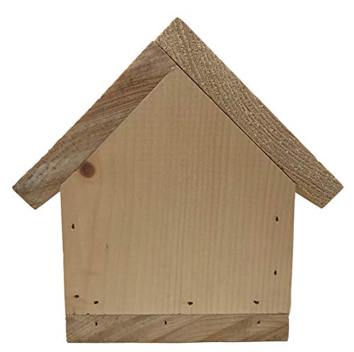 Solid Wood Birdhouse 3/4" Thick Solid Pine Strong Durable Heavy Duty Unfinished 8" Tall 3/4" Hole Made in The USA Built to Last Rhino Wood Industries