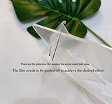 Humming Bird Template,Acrylic Router Template,Woodworking Router Template Tracing Guide (7.875"x 7.875") Yuxuanish