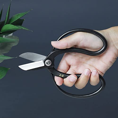 Wazakura Koryu Flower Arrangement Ikebana Scissors 6.5 in (165mm) Made in Japan, Floral Arrangement Hasami, Japanese Kado Tools - Yasugi Steel Koryu Wazakura