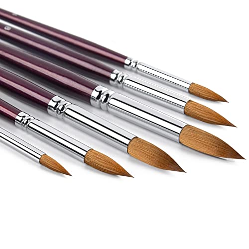 Kolinsky Watercolor Brush Set Pure Kolinsky Sable Hair Pointed Round Art Paintbrushes Premium 6 Pcs Round Tip Paint Brush Artist Acrylic Brush for - WoodArtSupply