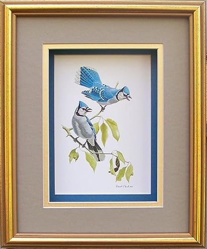 DSC Blue Jay Birds Paper Tole 3D Decoupage Craft Kit Size 8x10 inches 8062 (The Additional Pictures Show This Craft Kit Framed in a Shadow Box Frame) - WoodArtSupply