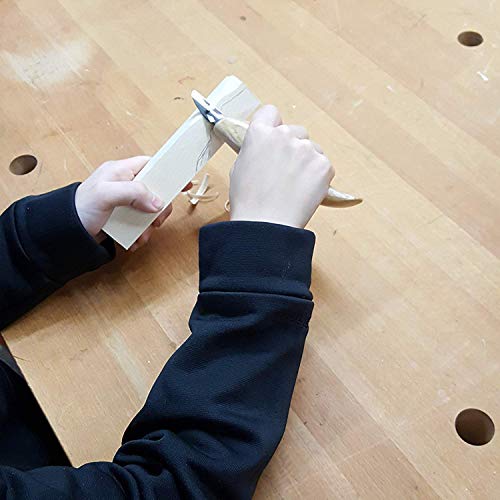 WOWOSS 8 Pack Unfinished Basswood Carving Blocks Kit, Premium Kiln Dried Whittling Soft Wood Carving Block Hobby Set for Kids Adults Beginner to