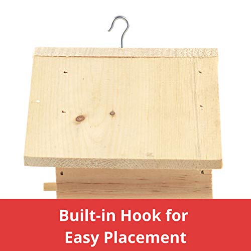 Unfinished Birdhouse to Paint for Birdwatching with Perch, Natural Wood Pine Frame for Finches and Songbirds, Heavy Duty Outdoor Hanging Use (6.5")