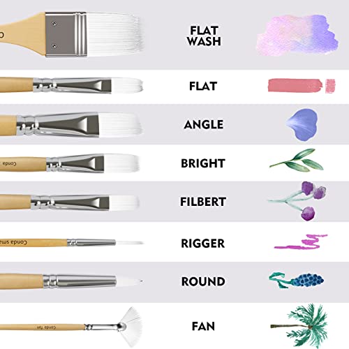 CONDA Paint Brushes Set of 24 Different Shapes Professional Painting Brushes for Oil, Acrylic Canvas and Watercolor Painting (White) conda