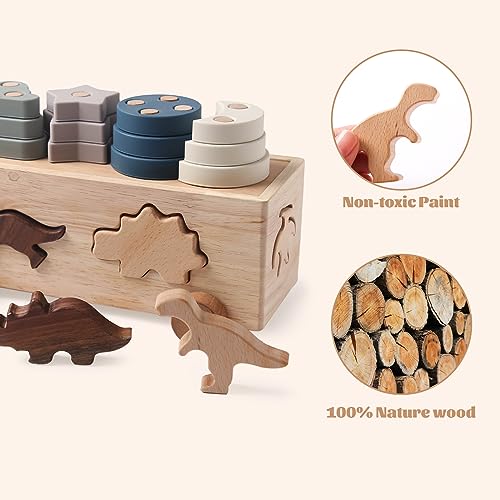 Montessori Toys for 1 2 3 Years Boys Girls Birthday Gift, Wooden Stacking Toys Preschool Learning Fine Motor Skills Game for Toddlers - Wood Car &