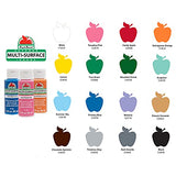 Apple Barrel Multi-Surface Paint Set (2-Ounce), Colors, 32 Fl Oz, 16 Piece Apple Barrel