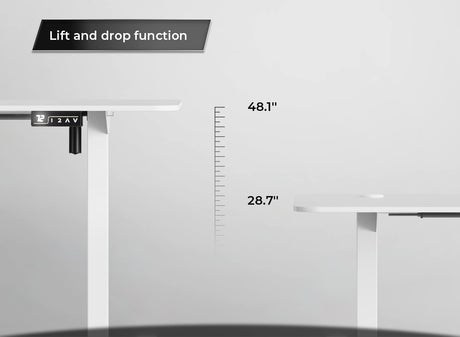 Furniwell Electric Height Adjustable Standing Desk Large Sit Stand up Desk Home Office Computer Desk 55 x 24 Inches Lift Table with T-Shaped Metal Furniwell