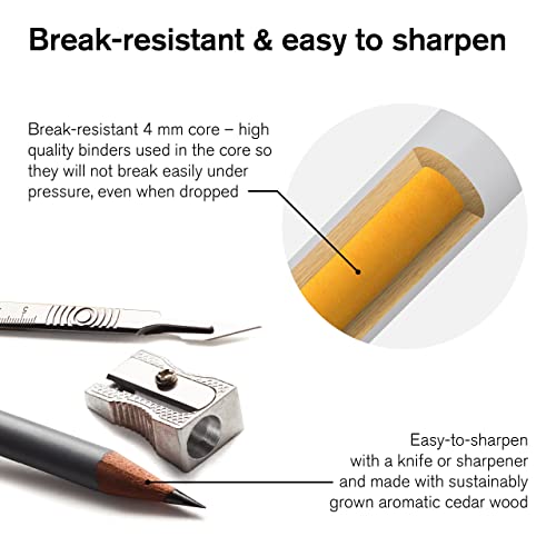 Winsor & Newton Studio Collection Artist Pencils, Color Pencils, Set of 24 Winsor & Newton