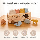 Samonyed Shape Sorter Toys for Toddlers 1-3 Montessori Stack Toy Car for 1 Year OldBaby Blocks Sorting Wooden&Silicone Educational Car Stacking Toys Samonyed