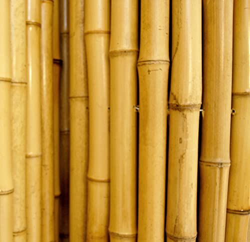 Backyard X-Scapes Natural Bamboo Fencing Decorative Rolled Fence Panel 1 in D x 4 ft H x 8 ft L