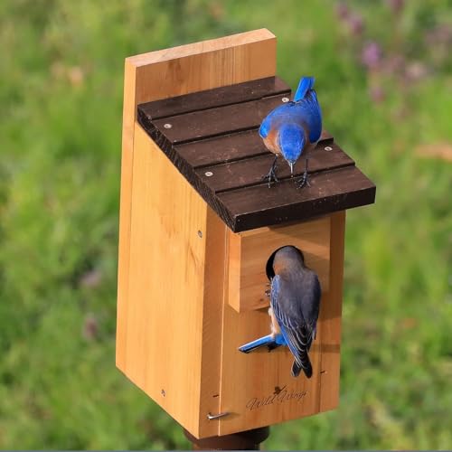 Wild Wings WWCH3 Cedar Blue Bird Box House Wild Wings