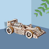 3D Wooden Puzzle T902 car - Wooden Puzzles for Adults - DIY Mechanical Model Building Kits, Wooden Craft Decoration Ornaments, Teen Educational STEM, ROEOLNIL