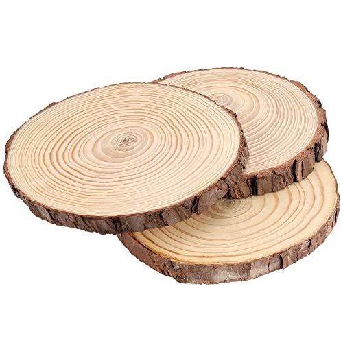 JEUIHAU 6 PCS 7-8 Inches Natural Unfinished Wood Slices, Round Wooden Tree Bark Discs, Wooden Circles for DIY Crafts, Christmas, Rustic Wedding - WoodArtSupply