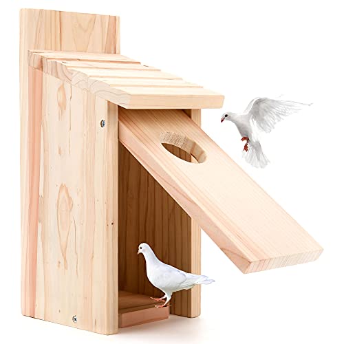 Oceek Cedar Blue Bird Box House Wood Bird House Bluebird Box House Cedar Wren and Chickadee Wren Home Outdoor Hanging Wood Birdhouse No Assembly OceeK