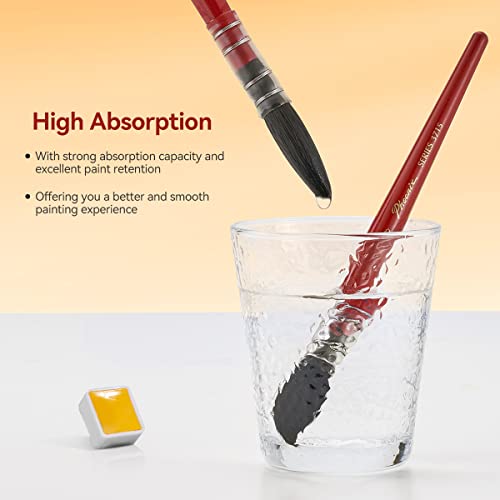 Lightwish Watercolor Brushes Set, Synthetic Squirrel Hair Paint Brushes kit for Artists, Adults, and Hobbists, Pointed Round Mop Brush for LIGHTWISH