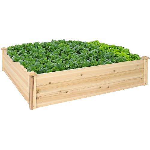 Sunnydaze 48-Inch Square Wood Raised Garden Bed - Outdoor Elevated Planter Box for Flower, Vegetable, and Herb Gardening