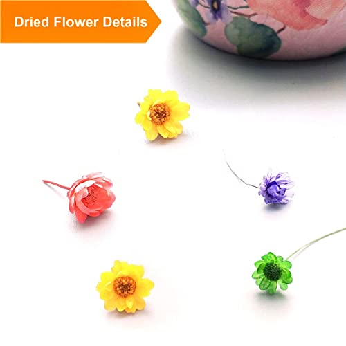 CellLuck Small Dried Flowers for Resin, 600PCs Hand-Picked Brazilian Mini Daisy Dry Flowers, Mixed Real Natural Dried Flowers for Epoxy Resin, CellLuck