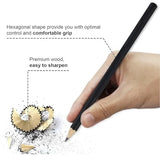 HOTCOLOR Drawing Pencils, 24pcs Art Pencil Set with Graphite Pencils Sketching Pencil Set Include 12B 10B 8B 7B 6B 5B 4B 3B 2B B HB 2H 4H 6H, HOTCOLOR