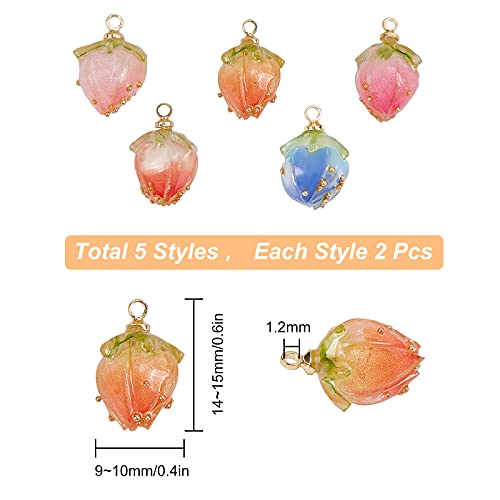 SUNNYCLUE 1 Box 10Pcs 5 Styles Dried Flower Charms Transparent Clear Epoxy Resin Pendants with Brass Hole 1.2mm Glass Micro Beads for DIY Earrings SUNNYCLUE
