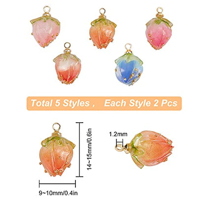 SUNNYCLUE 1 Box 10Pcs 5 Styles Dried Flower Charms Transparent Clear Epoxy Resin Pendants with Brass Hole 1.2mm Glass Micro Beads for DIY Earrings - WoodArtSupply