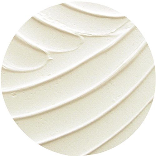 Liquitex Professional Gesso Surface Prep Medium, 946ml (32-oz), White Liquitex