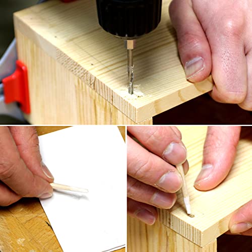 KAKURI Wooden Nails for Woodworking 3/16 inch (4.7mm), Tapered Wooden Dowel Rods for Crafts and Small Furniture, Natural Japanese Beechwood, Bulk 300 KAKURI