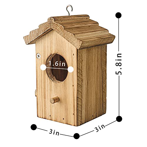 Hummingbird House for Outside Hanging Small Bird Nesting Box - Wood Nest for Robin, Hummingbird, Parakeet, Bluebird - Perch House for Outdoors NATUREYLWL