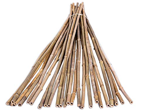 FOREVER BAMBOO BAMA-BP11 Bamboo Garden Stakes Plant Support, 3/8" D x 4' H, Natural - WoodArtSupply