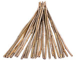 FOREVER BAMBOO BAMA-BP11 Bamboo Garden Stakes Plant Support, 3/8" D x 4' H, Natural FOREVER BAMBOO