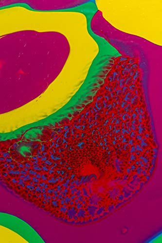 PEBEO INC 524561 PEBEO Pouring Medium 500ML, 500 ML, White 16 Fl Oz PEBEO INC