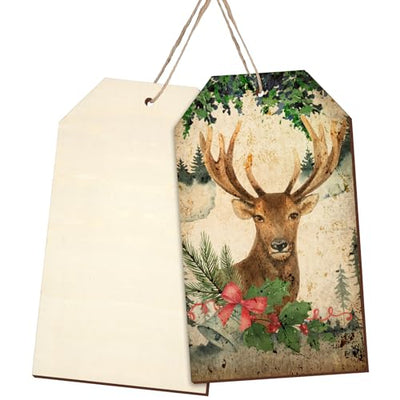 Blulu 6 Pcs Large Wooden Tags Christmas Unfinished Blank Wood Sign for Crafts with Holes Wood Tag Gift Slices Predrilled Natural Cutouts Tree Hanging