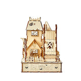 bennama 3D Wooden Puzzles Halloween House Kits Includes Light Strip, Brainteaser and Puzzle for Halloween/Birthday,Gifts for Adults and Teens to bennama