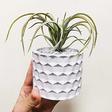 Round Honeycomb Concrete Flower Pot Silicone Mold Succulent Planter Vase Cactus Mold Candle Pen Holder Cement Clay Mold Epoxy Resin Jewelry Storage Anktily