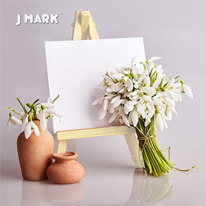 J MARK Paint Set – Mini Canvas Acrylic Painting Kit with Wood Easel, Canvases, Paint, Brushes & More