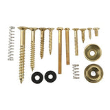Electric Guitar Screw Kit Multiple Sizes Guitar Metal Repairing Tool Kit with Screws Washers and Springs Repair Fasteners(gold) Walfront