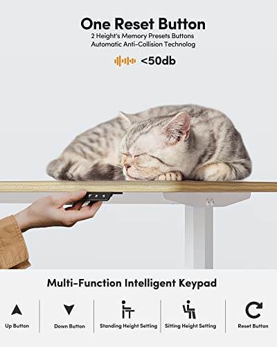 BANTI 63"x28" L Shaped Standing Desk, Electric Stand up Height Adjustable Home Office Table, Sit Stand Desk, Light Rustic Brown Top BANTI